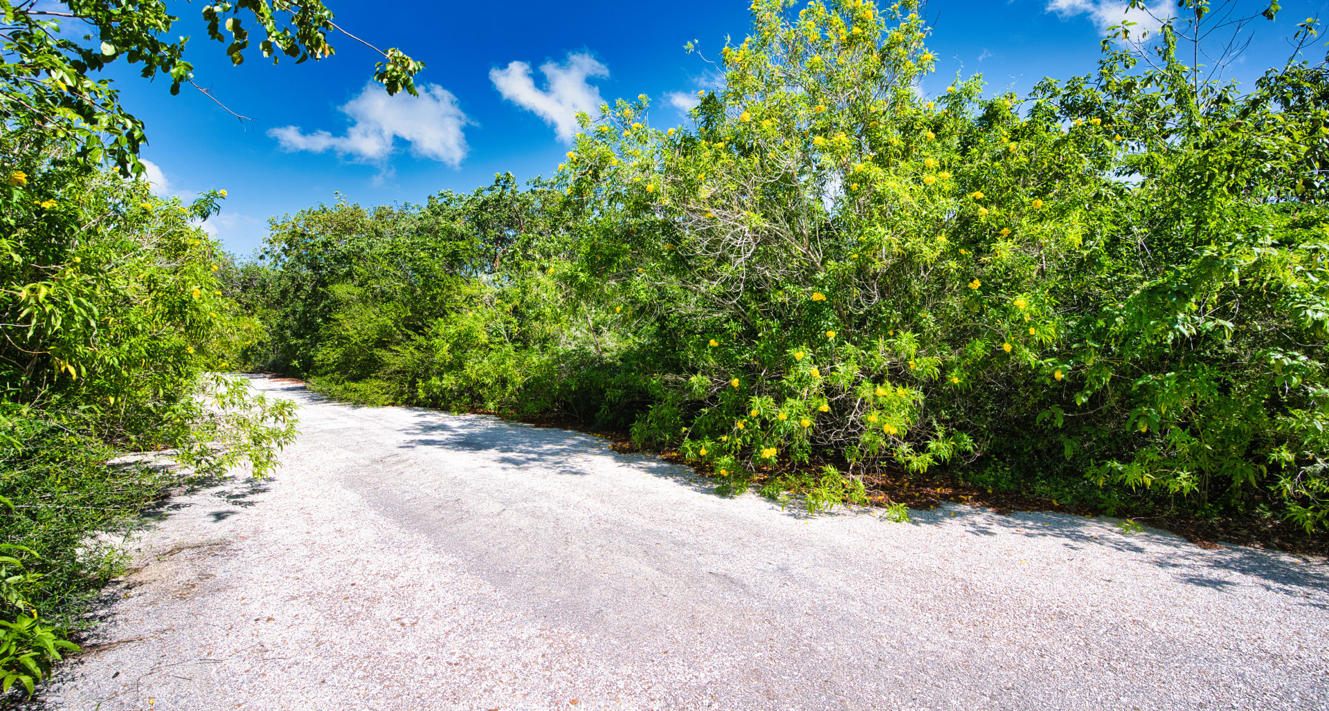 Little Cayman Oceanfront Lot with phenomenal views and direct access to coral reefs