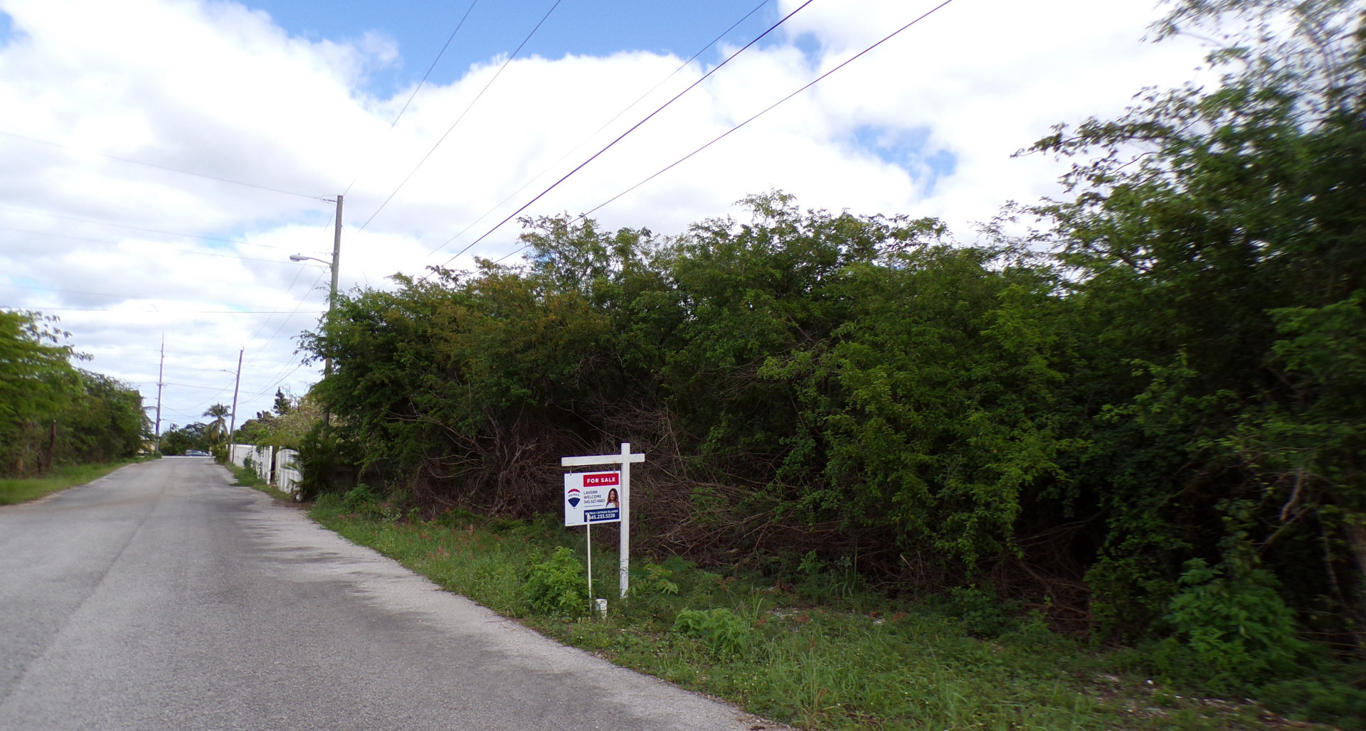 GUAVA GROVES – 2 HOUSE LOT 219 & 220 (.5652 ACRES) image 1