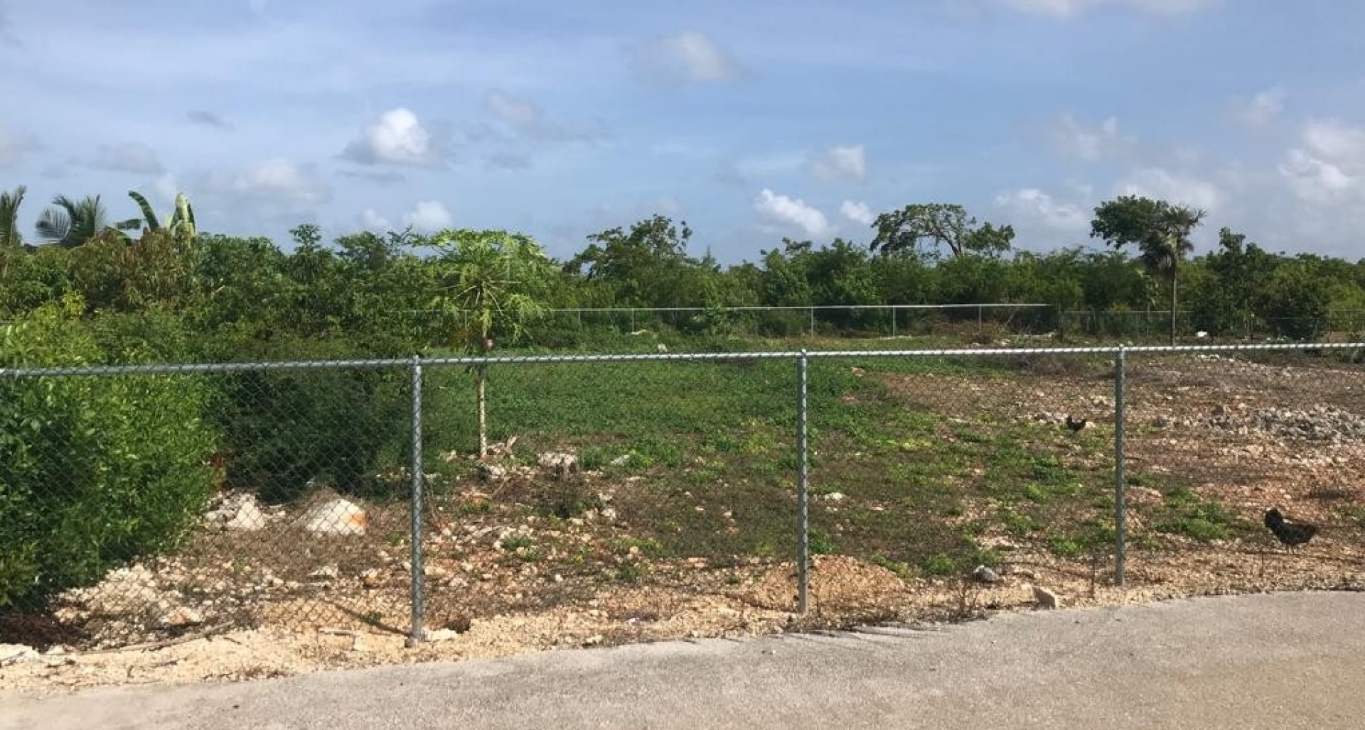 Beach Bay House Lot .334 Acres