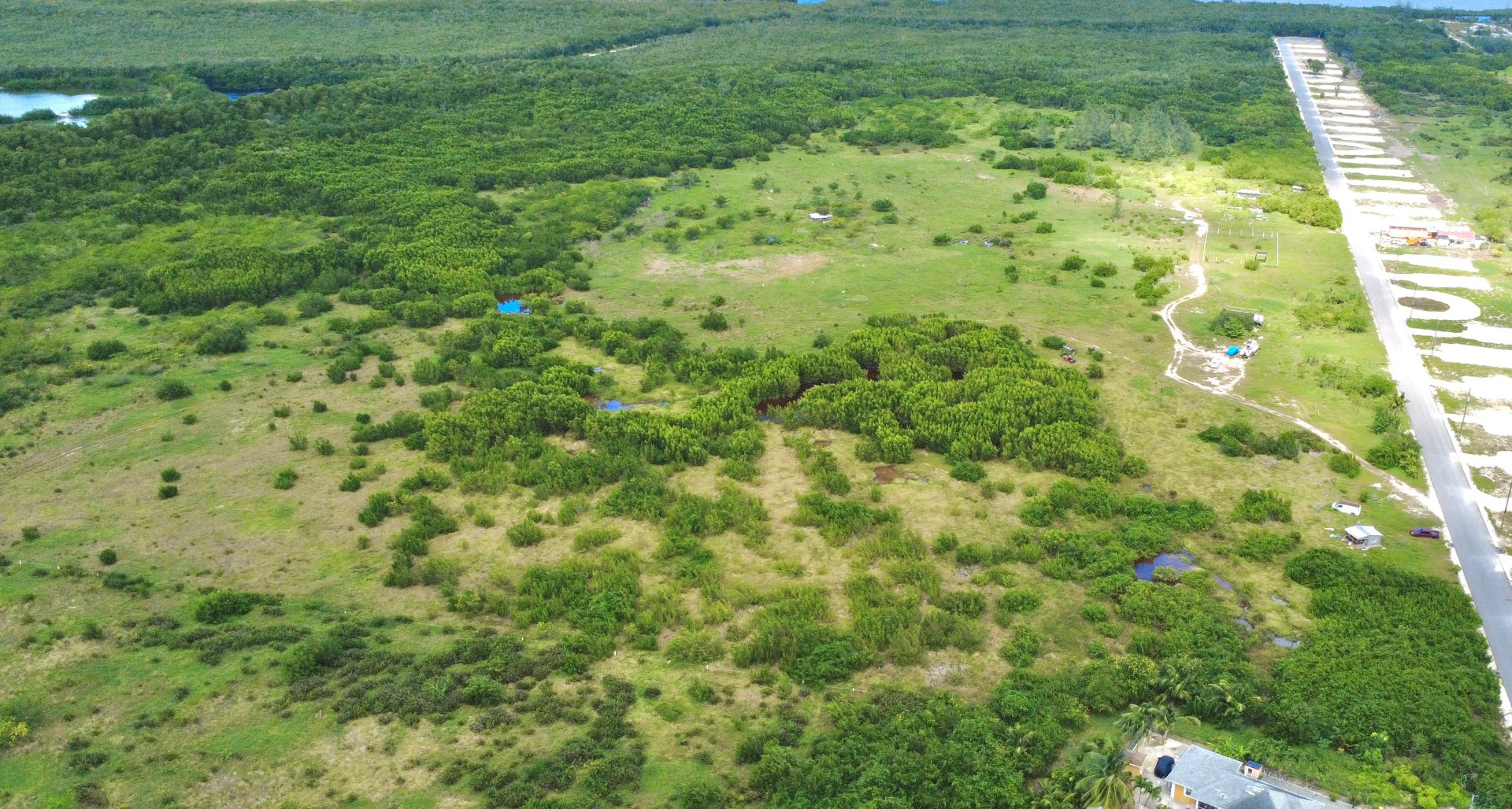 White Orchid – New Savannah Community – L4