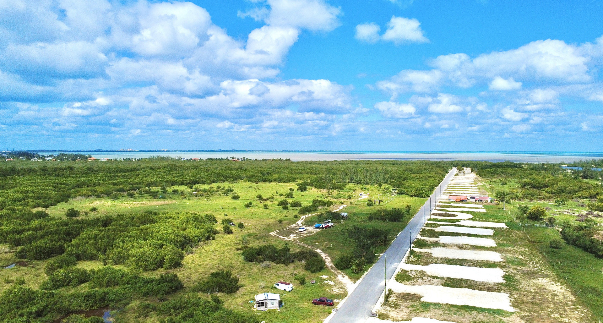 White Orchid – New Savannah Community – L8