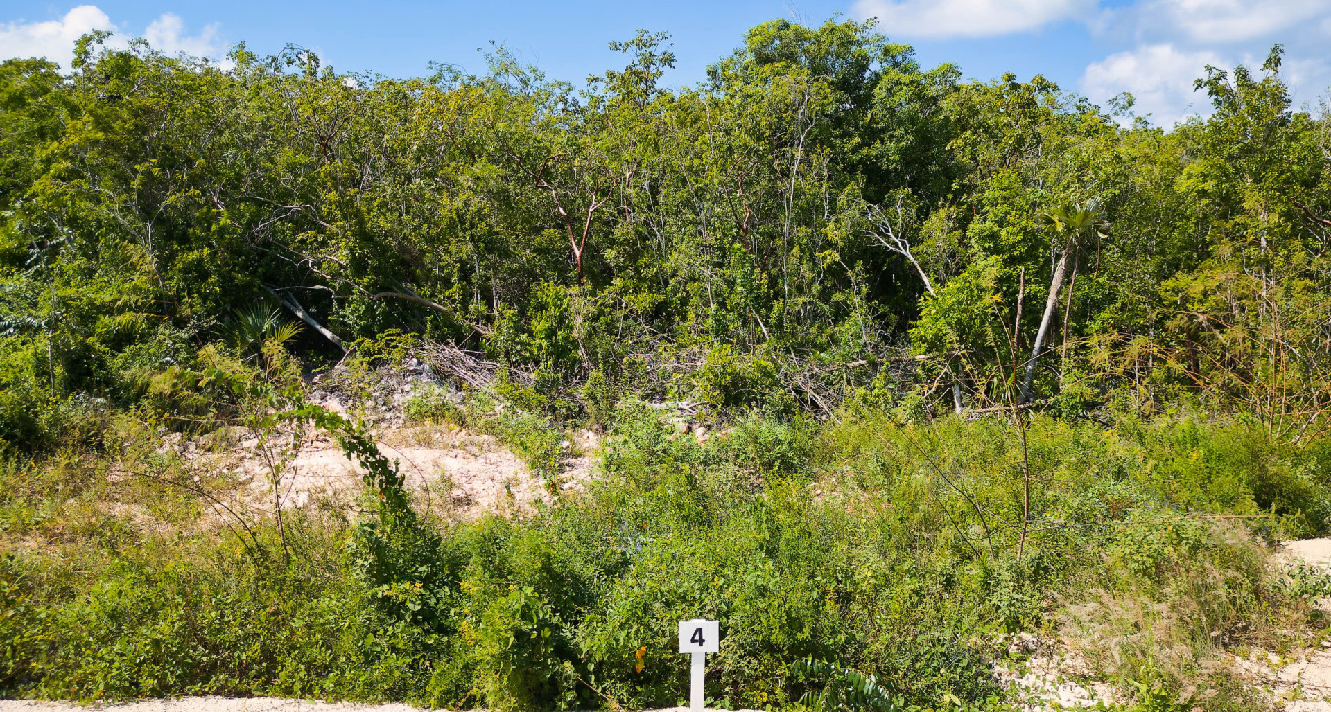 Little Cayman Large Waterfront Lot