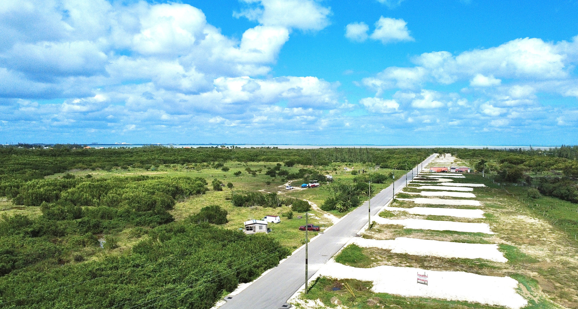 White Orchid – New Savannah Community – L22