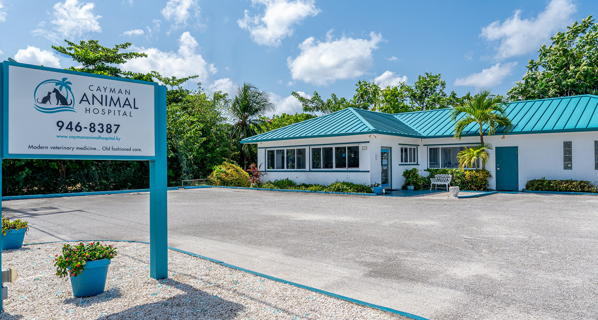 Cayman Animal Hospital on Crewe Road image 1
