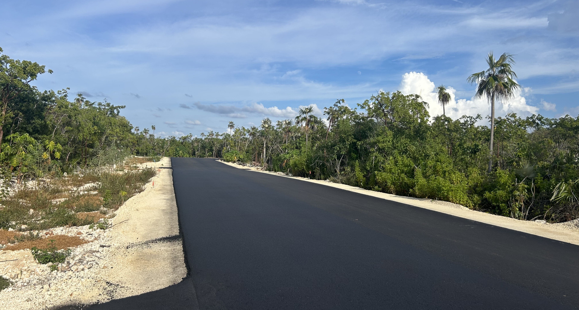 Queen’s Highway Subdivision Lot #4 image 3