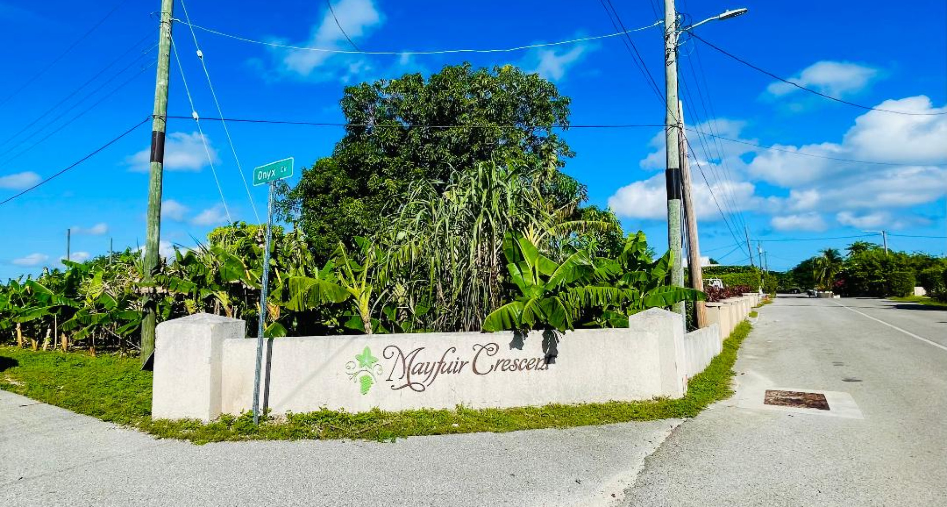 MAYFAIR CRESCENT-NORTHWARD 0.2870 ACRE FILLED LAND image 1