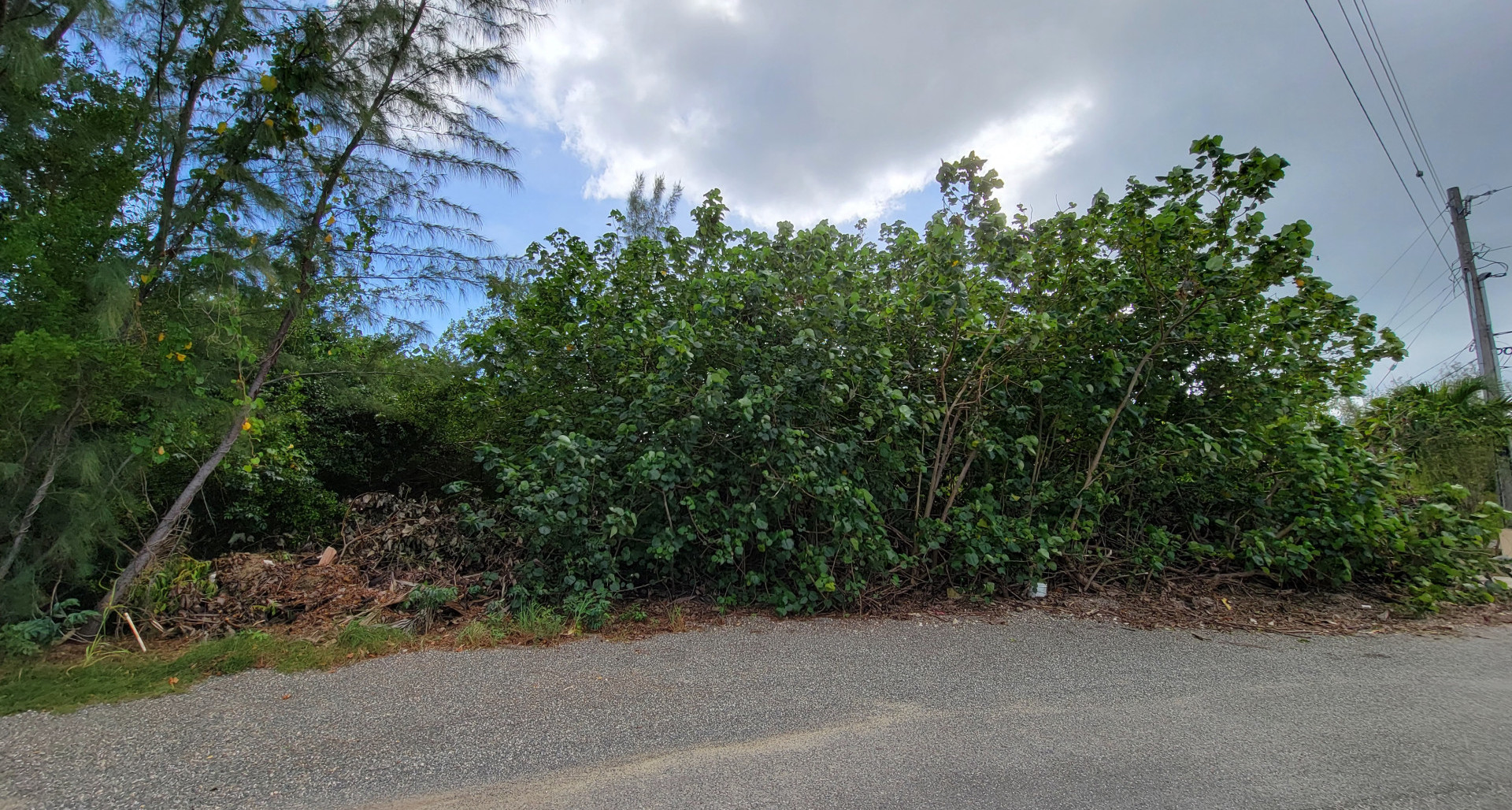 Real Estate with Real Impact.