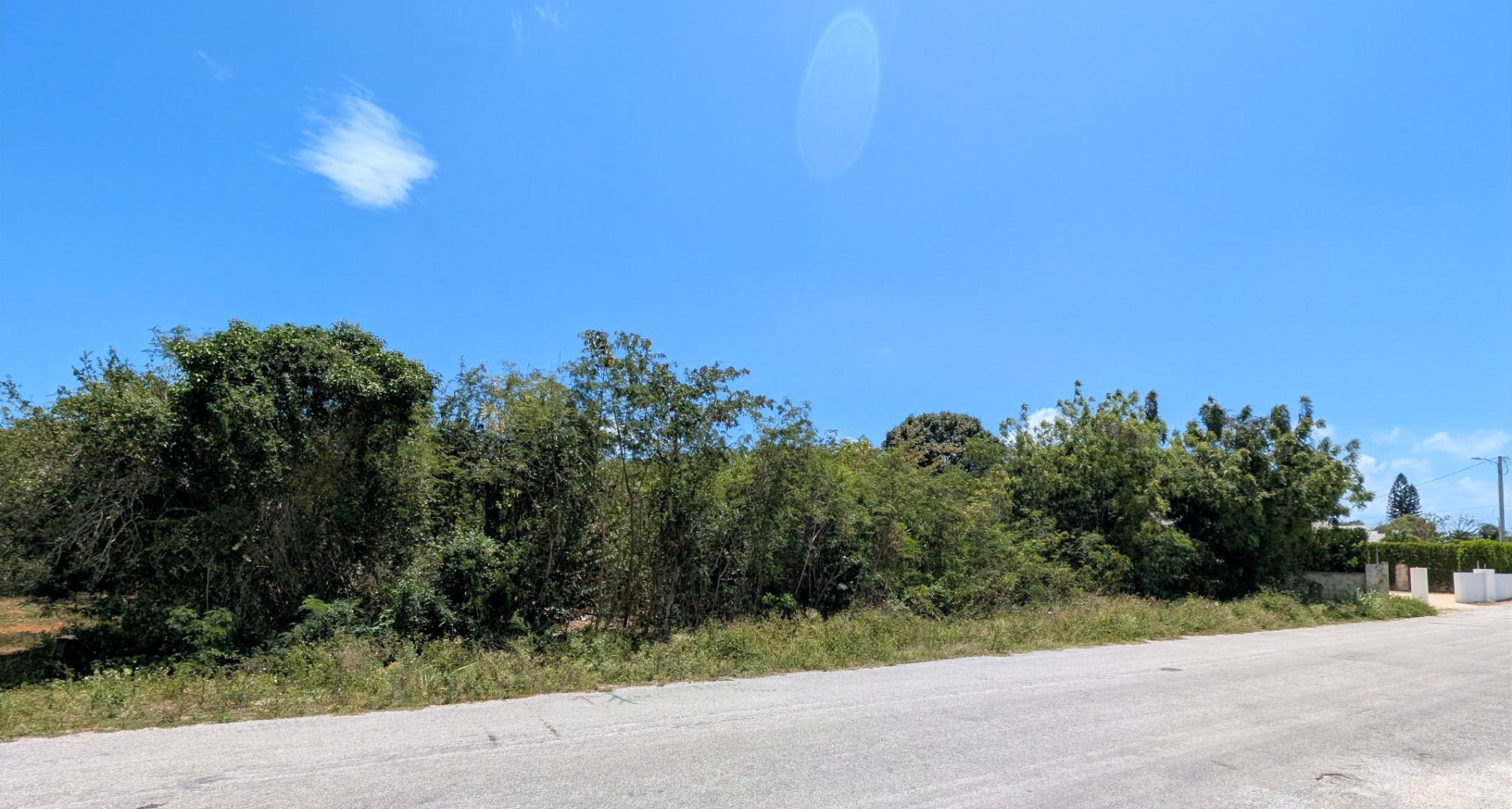 .40 Acre – BOUGAINVILLEA WAY –  SAVANNAH image 2