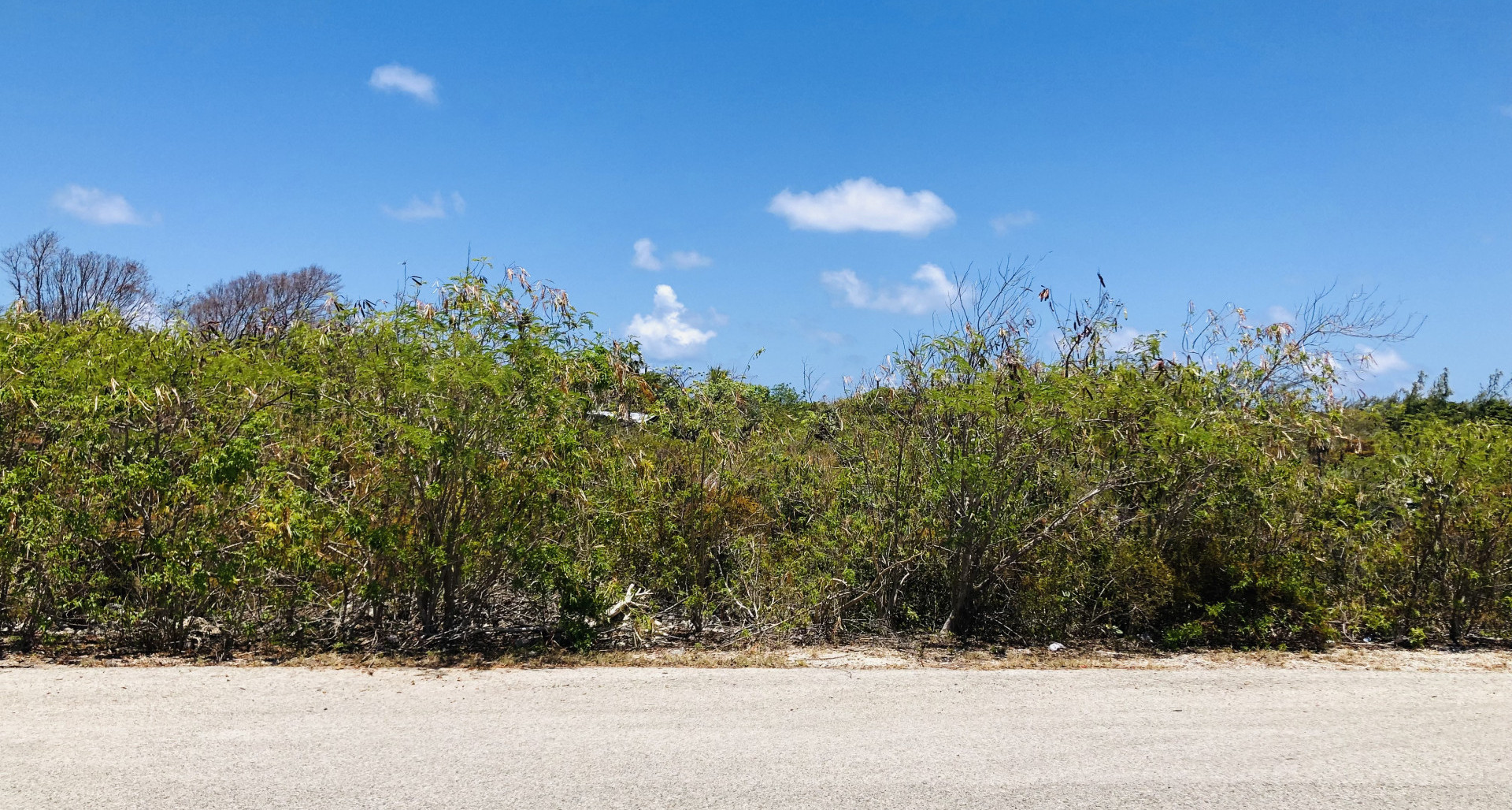 Colliers Duplex Lot – .32 Acres image 1